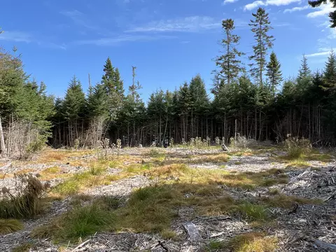 lot Apt 3 Pyne Cove Rd, Steuben, ME 04680 photo 8