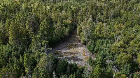 lot Apt 3 Pyne Cove Rd, Steuben, ME 04680 photo 12