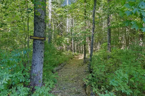 Other - 30 Walter Partridge Rd, Windham, ME 04062 photo 8 of 8