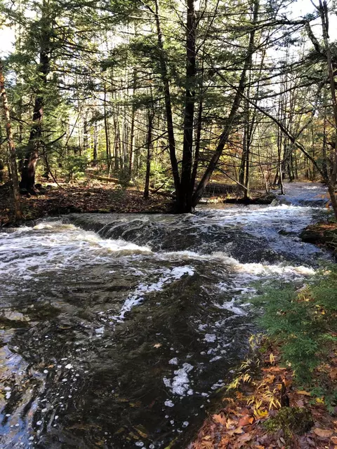 View/Area - 30 Walter Partridge Rd, Windham, ME 04062 photo 5 of 5