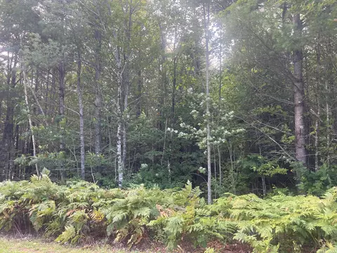 lot6 First St, Bethel, ME 04217