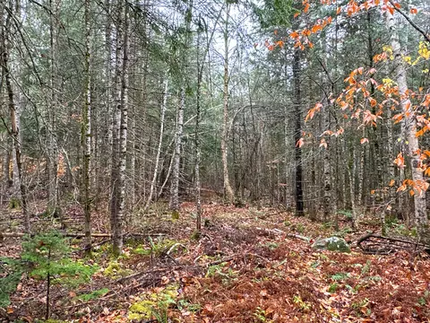 M6l34 Rabbit Path Road, Corinth, ME 04427 photo 14