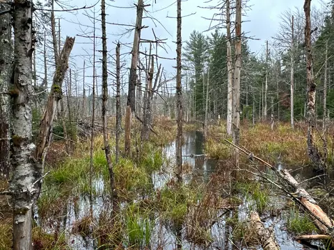 M6l34 Rabbit Path Road, Corinth, ME 04427 photo 15