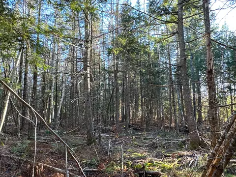 M6l34 Rabbit Path Road, Corinth, ME 04427 photo 8
