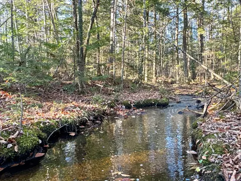 M6l34 Rabbit Path Road, Corinth, ME 04427 photo 9