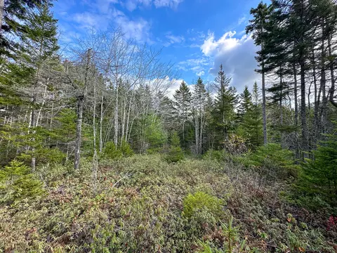 M6l34 Rabbit Path Road, Corinth, ME 04427 photo 10
