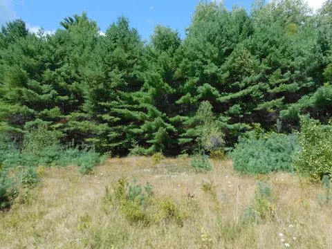 29 Robinson Blvd, Medway, ME 04460