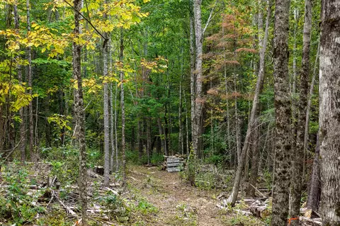 Exterior - 60 Coffin Rd, Springfield, ME 04487 photo 7 of 8