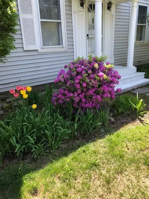 Other - 124 Silver St, Waterville, ME 04901 photo 17 of 17