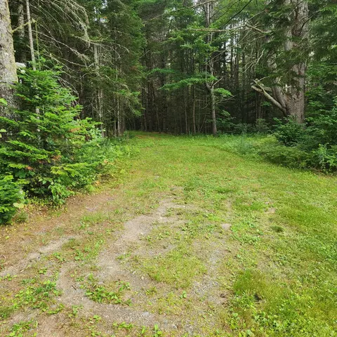 Other - 70 Back Rd, Abbot, ME 04406 photo 9 of 13