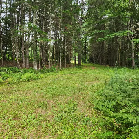 Exterior - 70 Back Rd, Abbot, ME 04406 photo 9 of 14