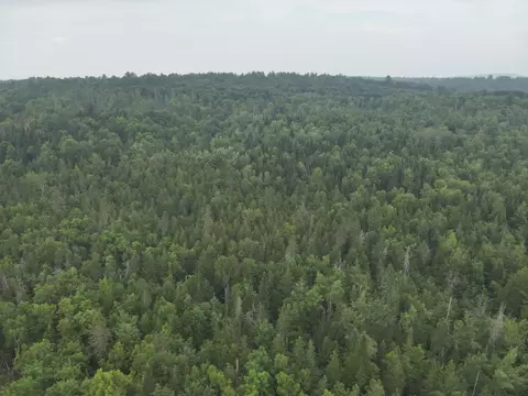 View/Area - 70 Back Rd, Abbot, ME 04406 photo 2 of 4