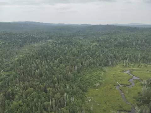 Other - 70 Back Rd, Abbot, ME 04406 photo 13 of 13