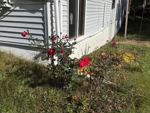 Exterior - 21 Bunny St, Augusta, ME 04330 photo 6 of 6