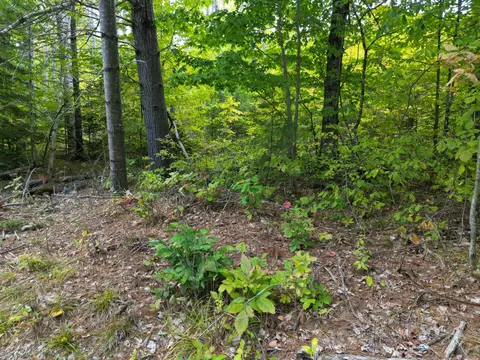599 North Rd, Lee, ME 04455 photo 4