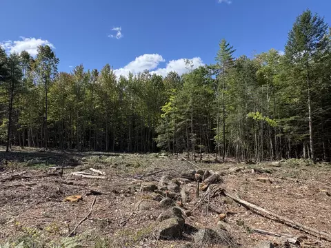 0 Edes Falls Rd, Harrison, ME 04040 photo 2
