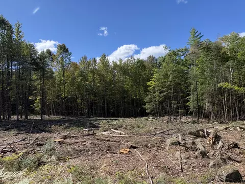 0 Edes Falls Rd, Harrison, ME 04040 photo 3
