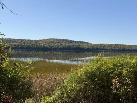 View/Area - lot Apt 38 290 Fire Ln, Sinclair, ME 04779 photo 1 of 7