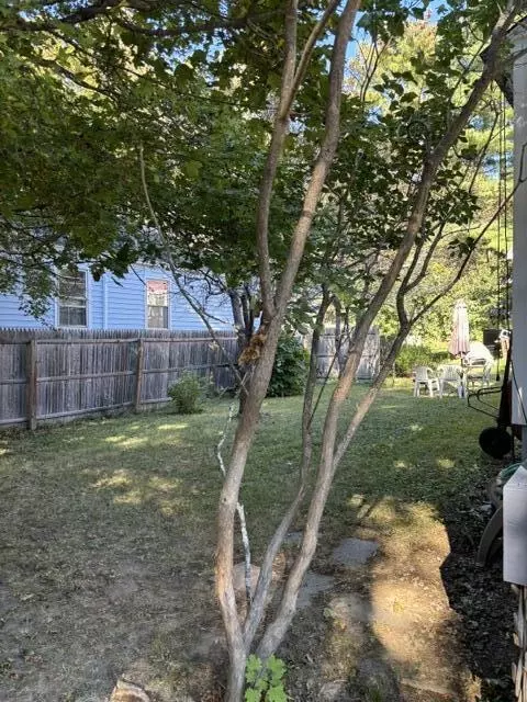 Exterior - 59 Bedford St, Bath, ME 04530 photo 6 of 14