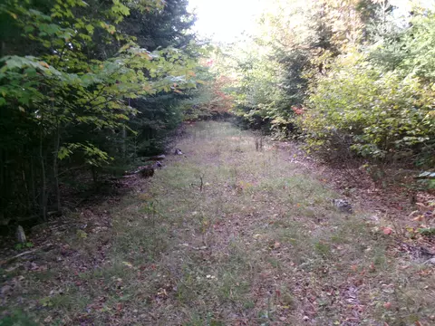 0 Old Mill Rd, Talmadge, ME 04492