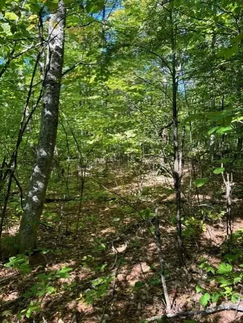 0 Beech Ridge Rd, Jay, ME 04239 photo 2