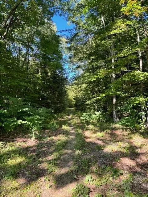 0 Beech Ridge Rd, Jay, ME 04239 photo 4