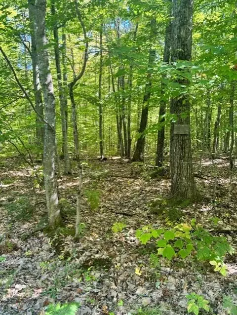 058-001 Watertower Ln, Jay, ME 04239 photo 2