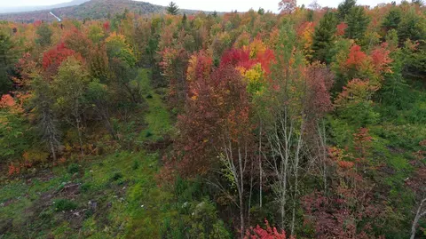 1 Number 9 Road, Orient, ME 04471 photo 8