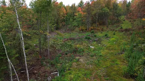 1 Number 9 Road, Orient, ME 04471 photo 4