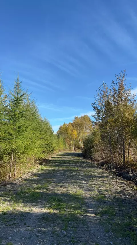 M36l25 Lot 25, Grand Isle, ME 04746