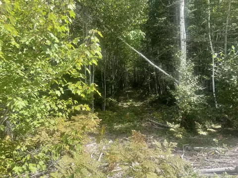 Exterior - 35 Hidden Acres, Steuben, ME 04680 photo 11 of 21