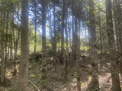 Exterior - 35 Hidden Acres, Steuben, ME 04680 photo 14 of 21