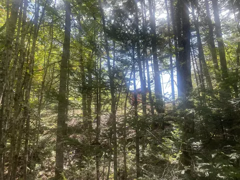 Exterior - 35 Hidden Acres, Steuben, ME 04680 photo 15 of 21