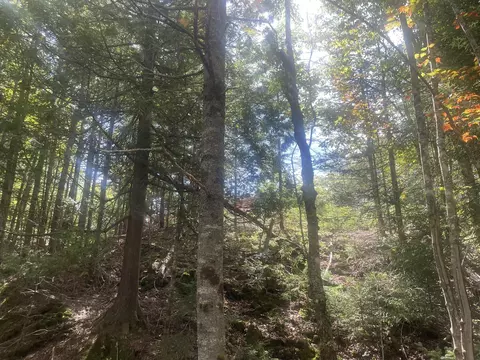 Exterior - 35 Hidden Acres, Steuben, ME 04680 photo 16 of 21