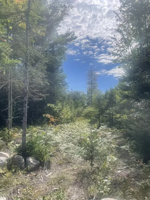 Other - 35 Hidden Acres, Steuben, ME 04680 photo 16 of 18
