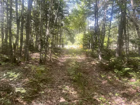 Exterior - 35 Hidden Acres, Steuben, ME 04680 photo 13 of 21