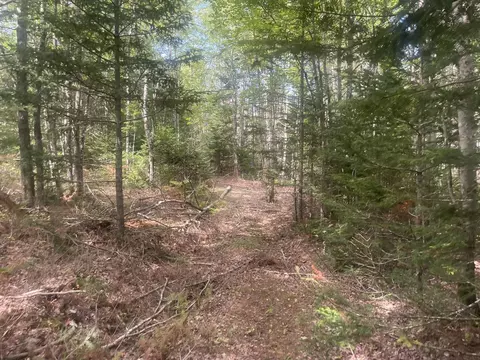 Exterior - 35 Hidden Acres, Steuben, ME 04680 photo 20 of 21