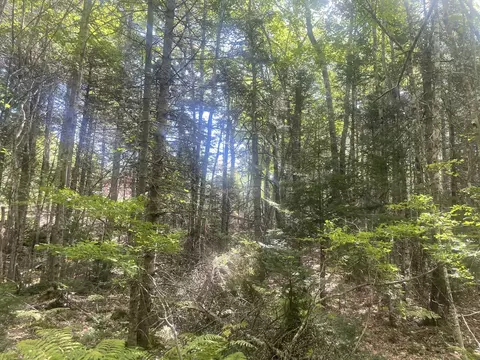 Exterior - 35 Hidden Acres, Steuben, ME 04680 photo 12 of 21