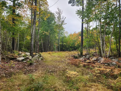 lot6 Willys Way, Buckfield, ME 04220