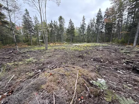 lot Apt 2 Hidden Dr, Vinalhaven, ME 04863 photo 9