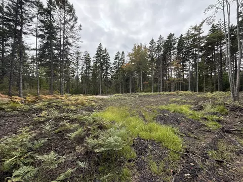 lot Apt 2 Hidden Dr, Vinalhaven, ME 04863 photo 12