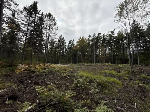 lot Apt 2 Hidden Dr, Vinalhaven, ME 04863 photo 14