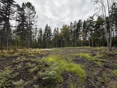lot Apt 2 Hidden Dr, Vinalhaven, ME 04863 photo 13