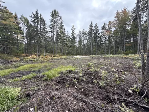 lot Apt 2 Hidden Dr, Vinalhaven, ME 04863 photo 11