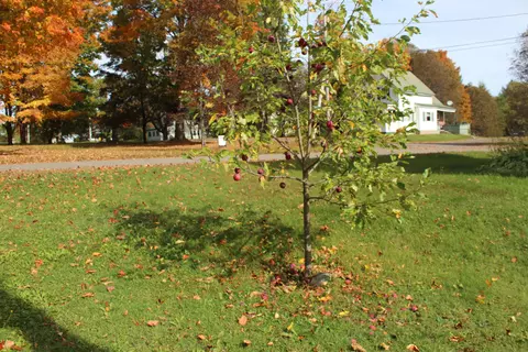 Exterior - 16 Pleasant St, Patten, ME 04765 photo 7 of 9