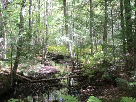 Other - 529 Redding Rd, Sumner, ME 04292 photo 7 of 8