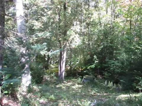 Exterior - 529 Redding Rd, Sumner, ME 04292 photo 11 of 16