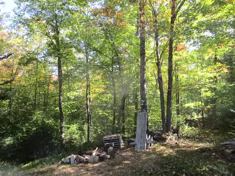 Exterior - 529 Redding Rd, Sumner, ME 04292 photo 7 of 16