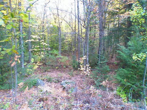 Exterior - 529 Redding Rd, Sumner, ME 04292 photo 12 of 16