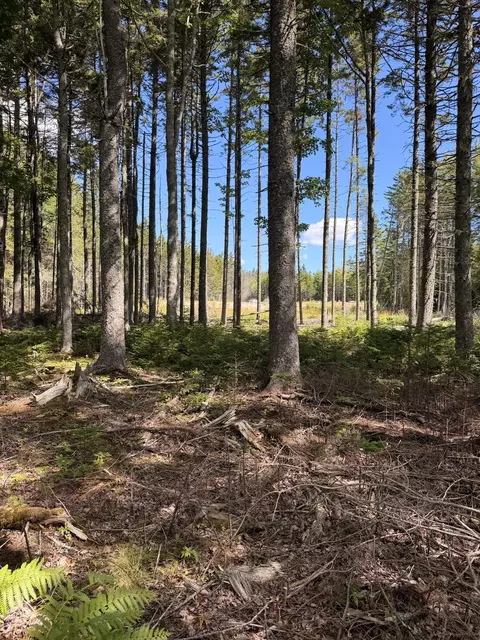 119 Flye Point Rd, Brooklin, ME 04616 photo 14